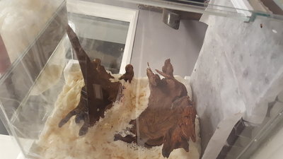20161026_185445.jpg