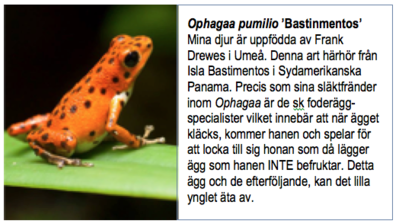 Grodinfo exempel.png (154.35 KiB) Visad 6123 gånger Exempel ...