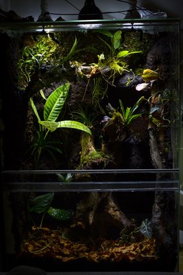 Kontrasten mellan ljus och skugga ger en mkt naturlig look ...