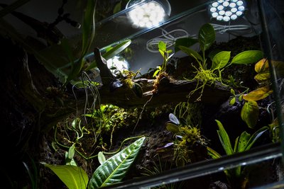 .. och så här ser det ut underifrån. Mycket effektfull lösning.