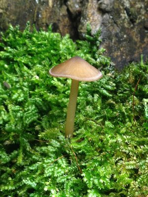 IMG_1252.JPG