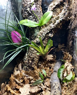 Der var ju två burkar ...