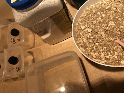 Tre sorters pulver | Nekton, egen blandning med Søren-bas samt pulver från Josh’s Frogs