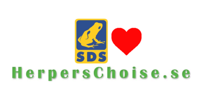 Groddagen Våren 2019.png