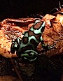 Användarvisningsbild