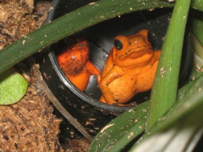 IMG_3830 - Kopia.JPG