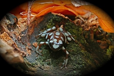 Stöddig liten krabat :)