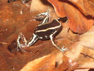 IMG_3901 - Kopia.JPG