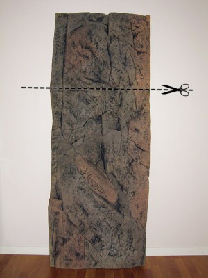 pny_8696b500.jpg