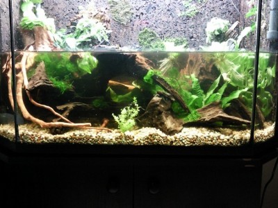 Akvariedelen