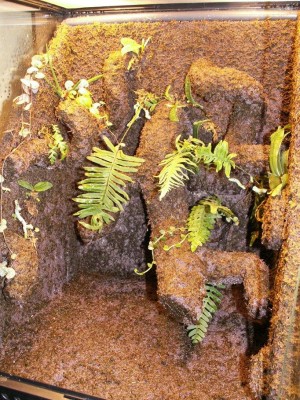 PICT0740.JPG