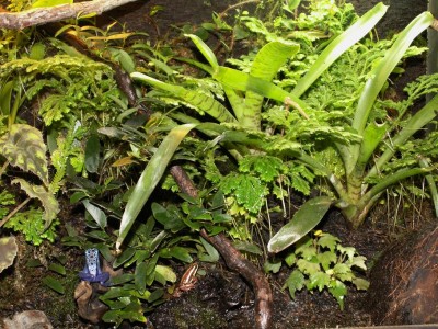 PICT1574.JPG