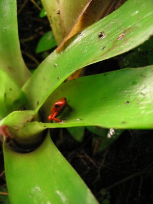 Till sist en liten bebis