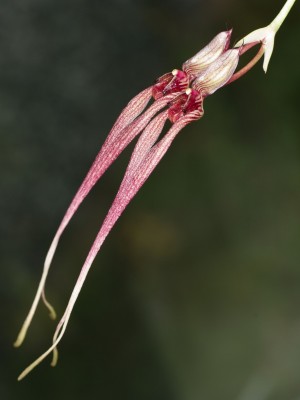 _IGP3814.jpg