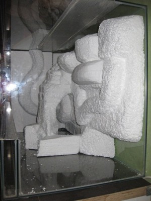 IMG_9729.jpg