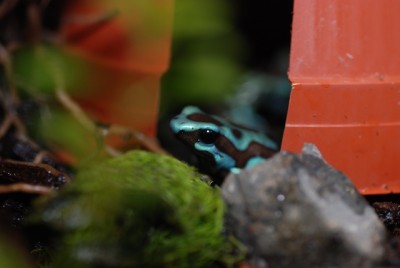 DSC_0397.jpg