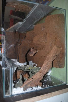 DSC_0158.jpg