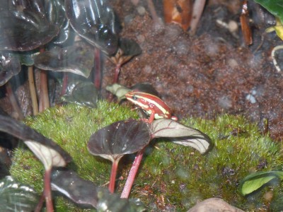 DSCN0237.JPG