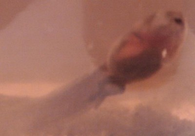 IMAG0117.jpg