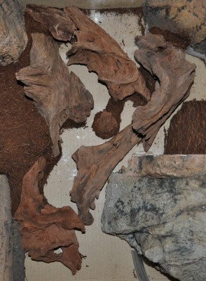 Kopia av DSC_0656.jpg