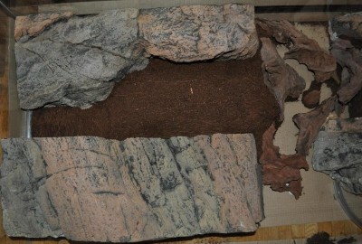 Kopia av DSC_0653.jpg