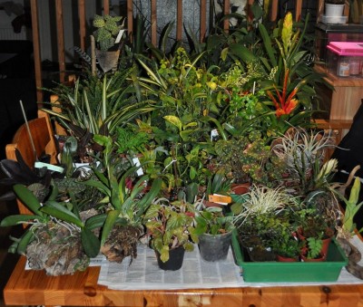 Kopia av DSC_0622.jpg