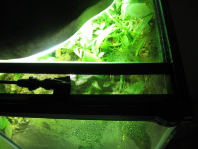 ventilation2.JPG