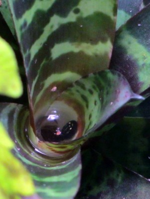 IMG_0895-2.jpg (62.46 KiB) Visad 6642 gånger IMG_0895-2.jpg