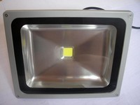 Flood light 50W00001.jpg