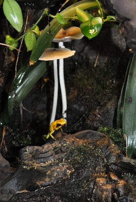 DSC_1936 - Kopia.JPG