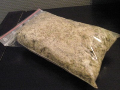 Mossan som sen ska blötas upp och strykas på bakgrunden