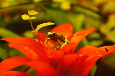 2012-03-10 2012-03-10 001 006.JPG