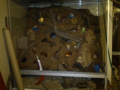 terrariet.jpg