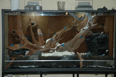 17 limmarötter2.jpg