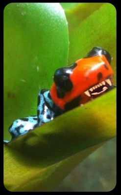 ImageUploadedByTapatalk HD1345446678.477493.jpg