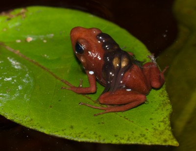 _IGP7909.jpg