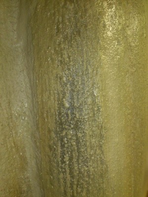 pigment test 1.jpg