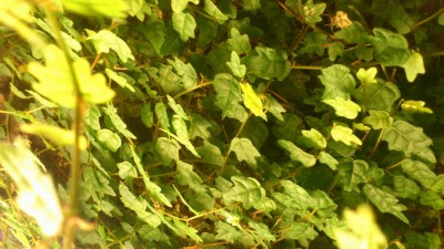 2013-01-08 11.37.33.jpg