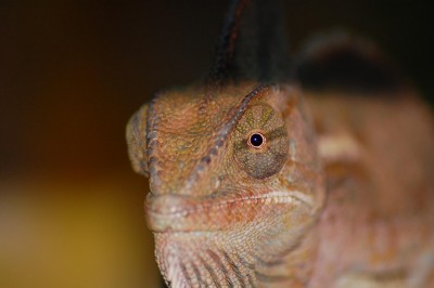 DSC_0018.JPG