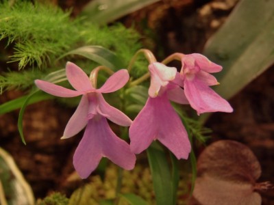 P3230525 (640x480).jpg