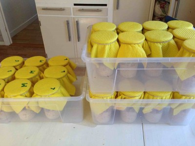 ImageUploadedByTapatalk HD1367227142.561509.jpg