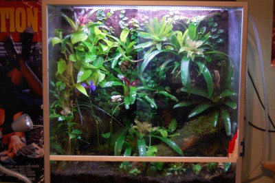 terrarium.jpg