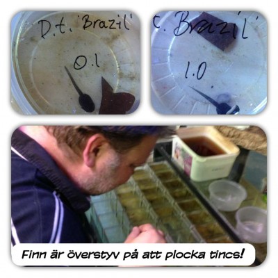 ImageUploadedByTapatalk 21369511028.163415.jpg