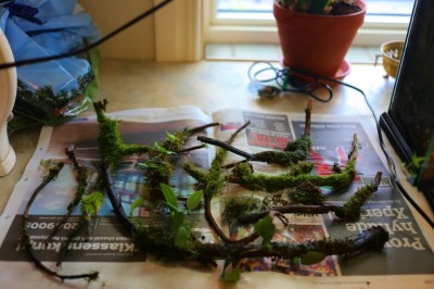 IMG_0660 (770x513).jpg