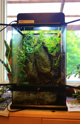 IMG_0656 (499x770).jpg