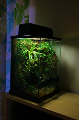 IMG_0672 (513x770).jpg