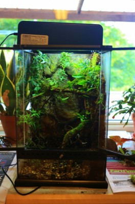 IMG_0664 (509x770).jpg