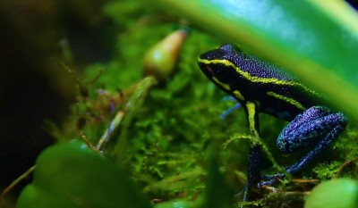 IMG_0788 (770x448).jpg