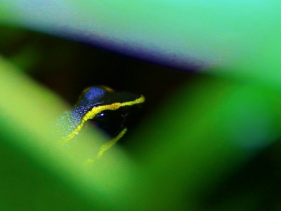 IMG_0820 (770x579).jpg