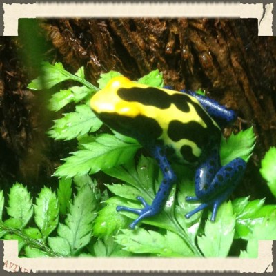 ImageUploadedByTapatalk 21373271113.764801.jpg